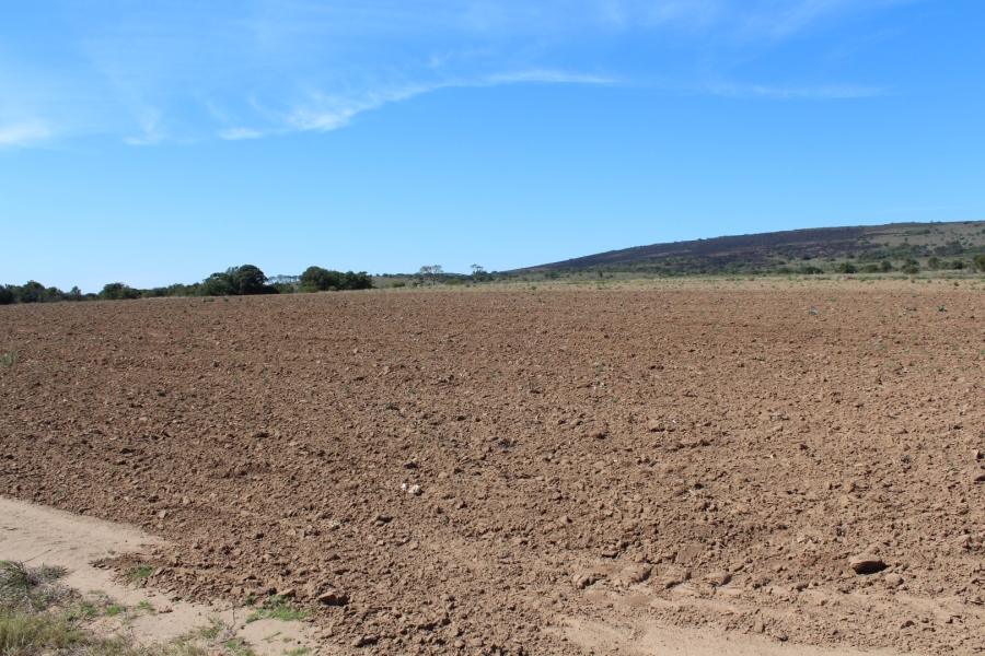 4 Bedroom Property for Sale in Bathurst Rural Eastern Cape